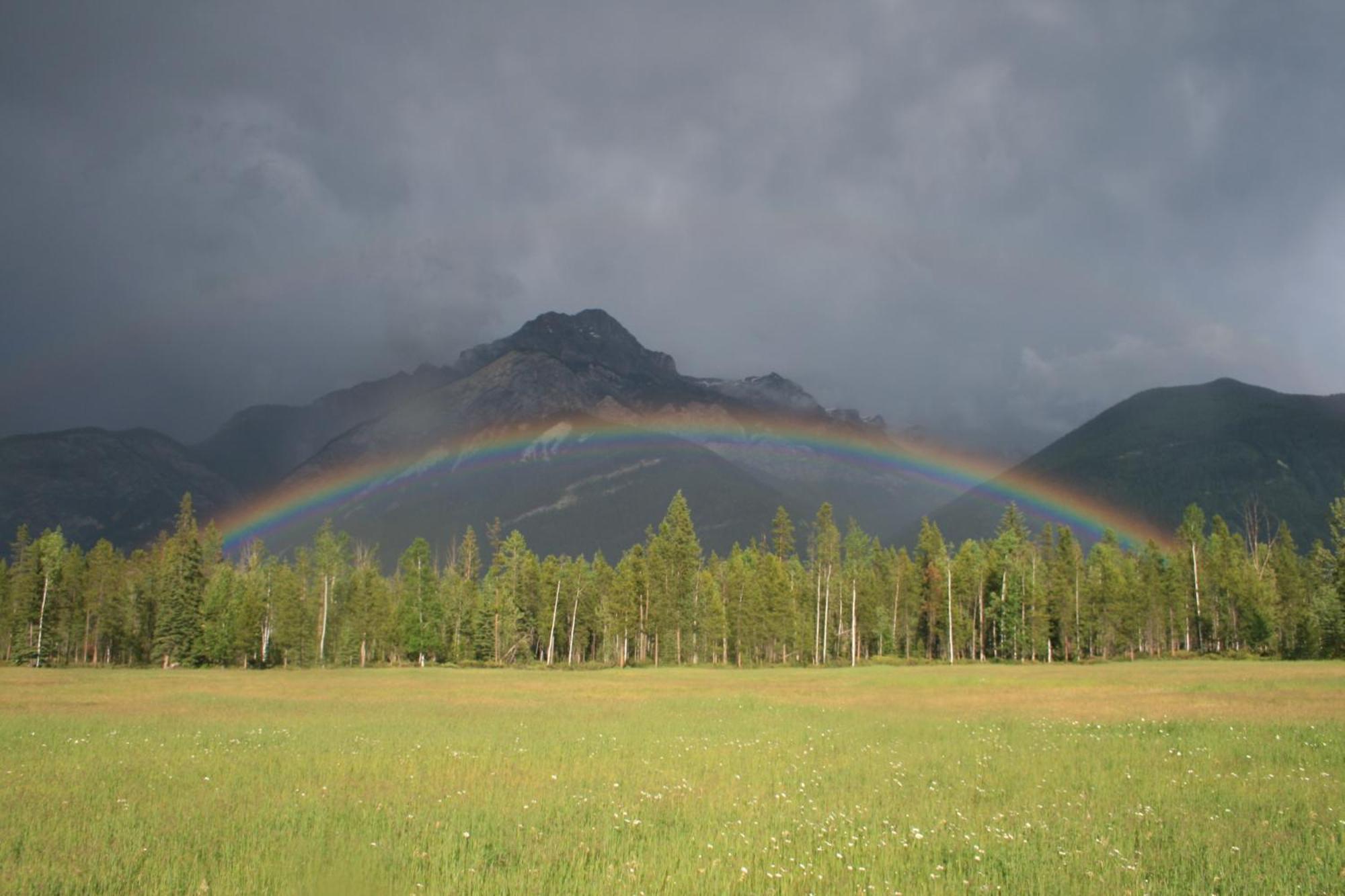 Rocky Mountain Cabins And Home Голден Экстерьер фото